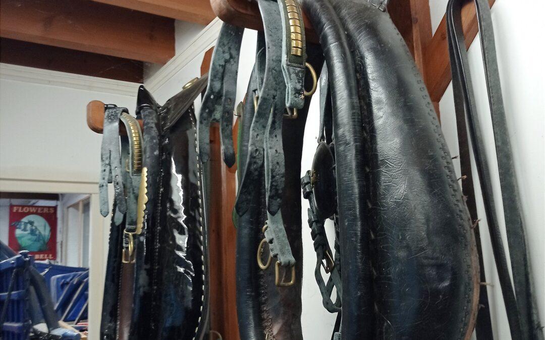 Behind the scenes with horse harness conservation